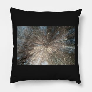 Muted autumn tones abstract Pillow