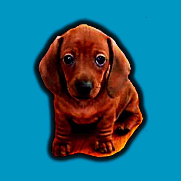 Mini Dachshund Puppy by harleymk