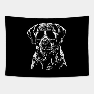 Funny Proud Chesapeake Bay Retriever sunglasses cool dog gift Tapestry