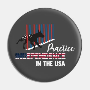 Practice INDEPENDENCE in the USA Pin