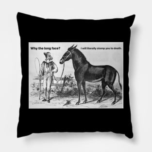 A Talking Horse Pillow