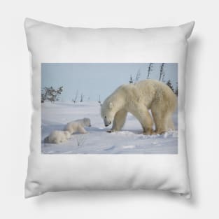 Mother polar bear watching over her two newborn cubs Pillow