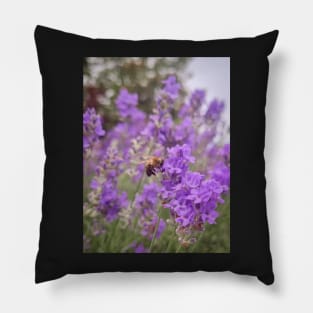 Bee on Lavender Flower Pillow