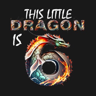 Dragon 6th Birthday Boys and Girls Kids Turning 6 Years Old T-Shirt