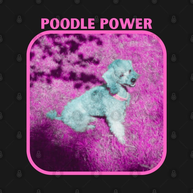 Poodle Power by The Golden Palomino