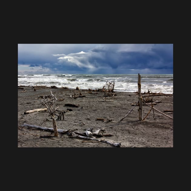 Hokitika Beach 1 by charlesk