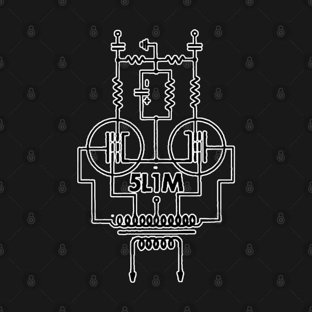 5L1M Push Pull Schematic Version 1 by 5L1M