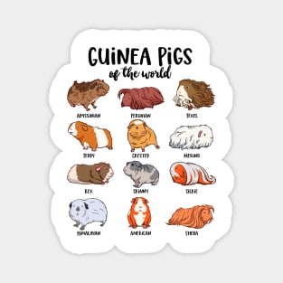 Guinea pigs of the world - Various kawaii guinea pigs Magnet