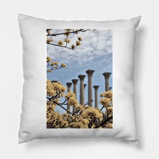 Capital Columns - National Arboretum - Washington, DC Pillow