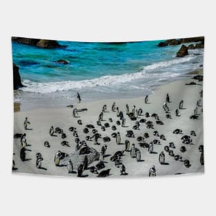 African Penguins at the beach Tapestry