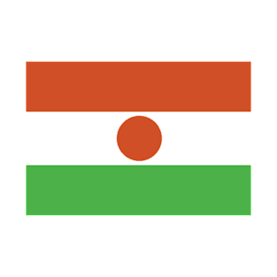 Niger flag T-Shirt