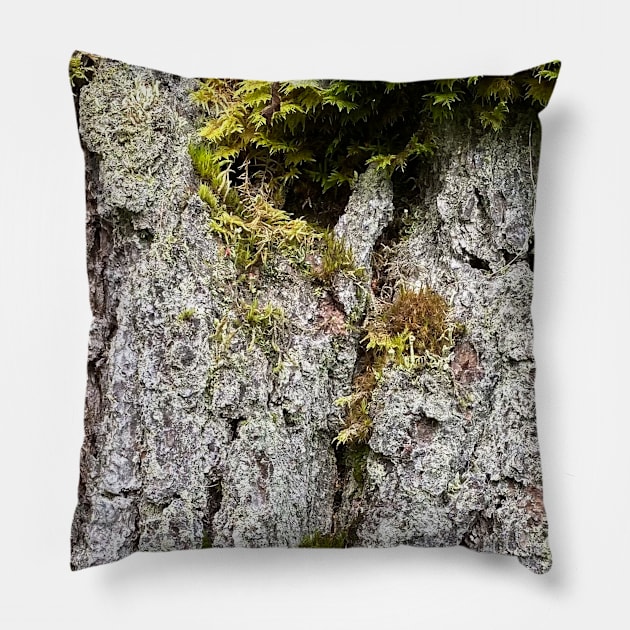 Wood Bark Moss Nature Forest Pillow by BurunduXX-Factory