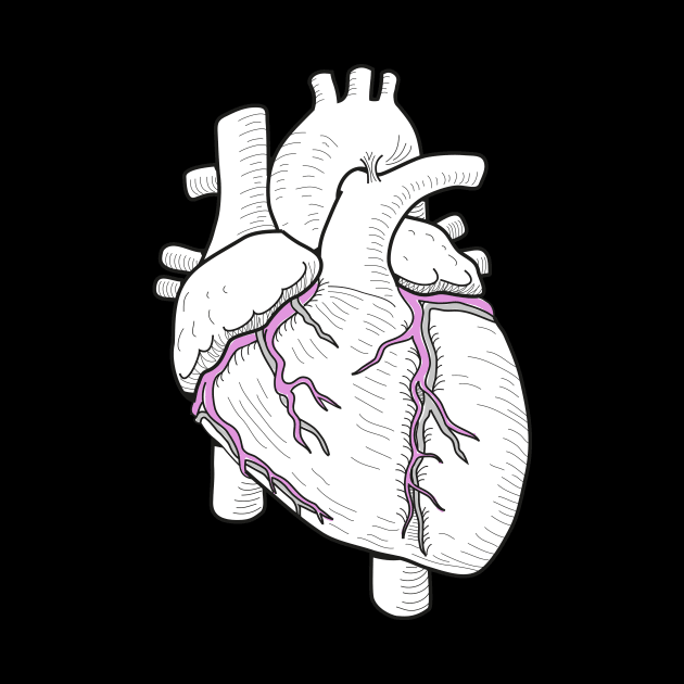 Anatomy of human heart by Science Design