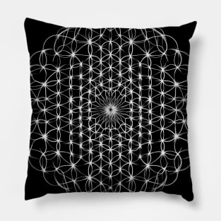 Philosophical Transform Pillow