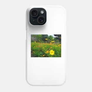 cosmos, yellow, floral, flower, cosmos flower, cosmos flowers, botanical, nature, flowers, garden, yellow cosmos, daisy, yellow flower, natural, wildflowers Phone Case