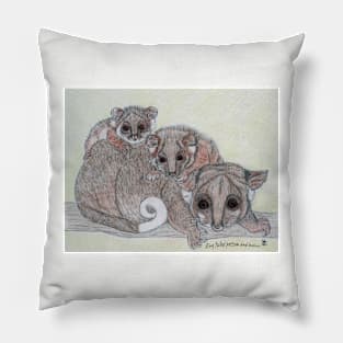 Ring-tailed possum and babies Pillow