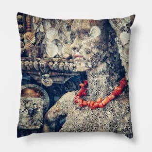 Sea Witch Pillow