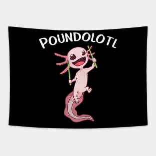 Pound Fitness - Poundolotl Tapestry