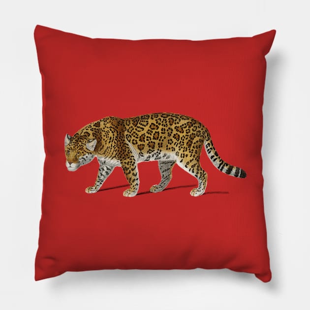 Vintage Jaguar png wild animal, Pillow by Phantom Troupe