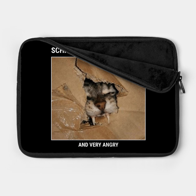 Schrodingers Cat Meme Schrodingers Cat Laptop Case Teepublic