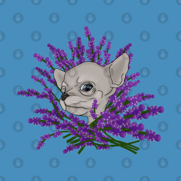 Chihuahua with lavender by KateQR