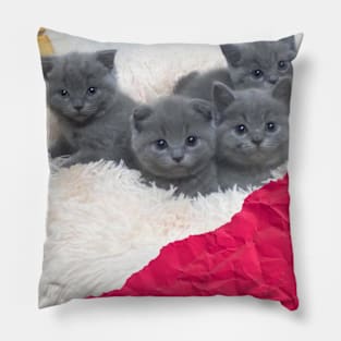 the blue cats gangs Pillow