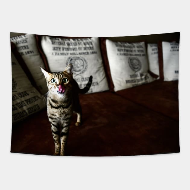 Savannah Katze 1 / Swiss Artwork Photography Tapestry by RaphaelWolf