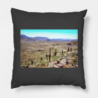 Apache Trail Scenic Drive View Pillow