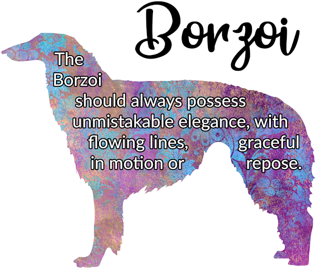 Borzoi Kids T-Shirt by ApolloOfTheStars