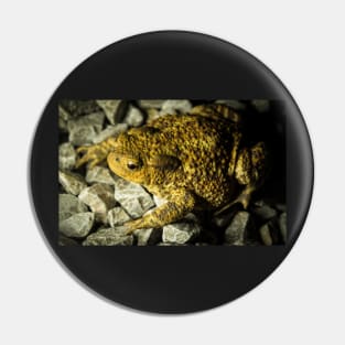 Wandering Toad - 2013 Pin