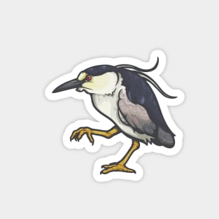 Black-Crowned Night Heron Magnet