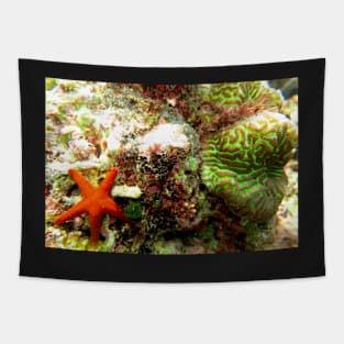 Starfish Tapestry