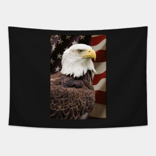 American Freedom Tapestry