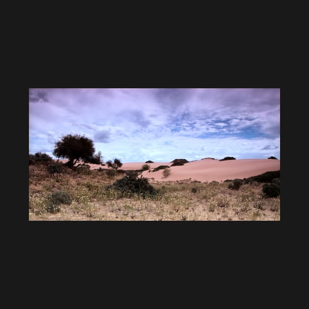 Dunes, Late Afternoon at Mungo by Carole-Anne