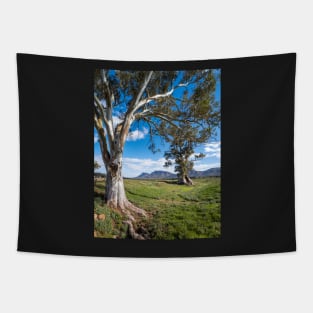 Flinders Ranges, South Australian Landscape Tapestry