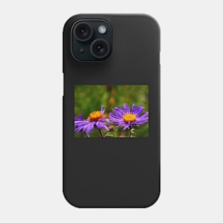 Purple Aster Blossoms Phone Case