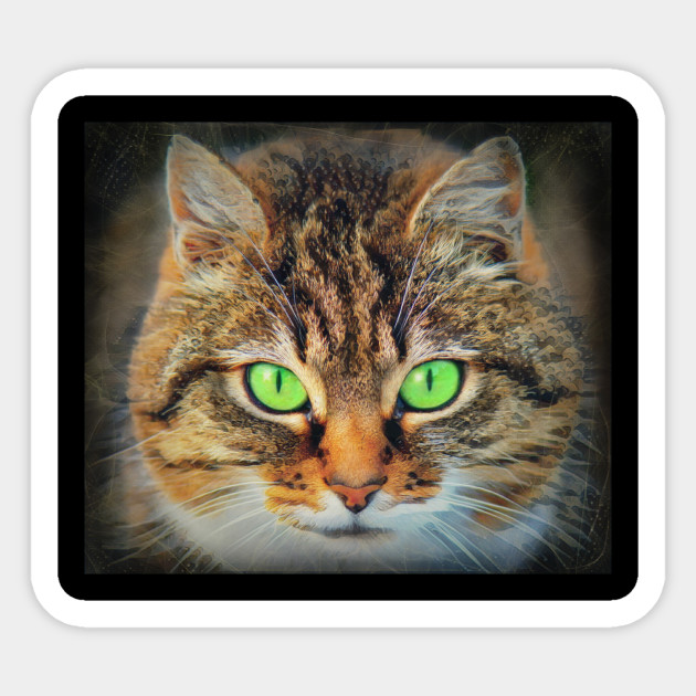 Orange Tabby Cat Green Eyes Orange Cat Sticker Teepublic