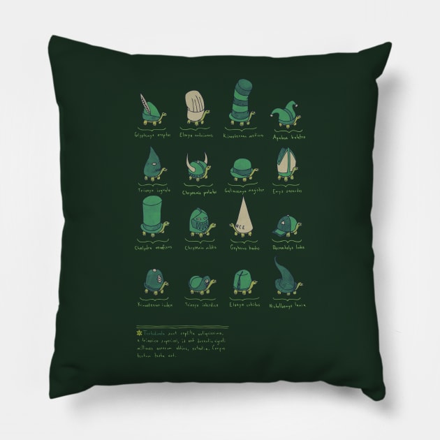 a study of turtles Pillow by againstbound