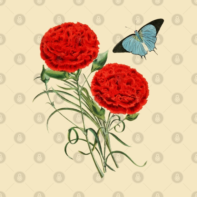 Watercolor red carnation flowers and butterfly by Rubi16