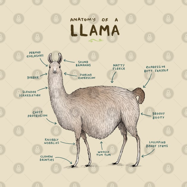 Anatomy of a Llama by Sophie Corrigan