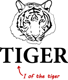 I Of The Tiger Magnet