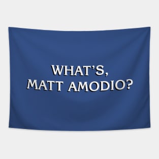 What's Matt Amodio? Jeopardy Champion in Style Tapestry
