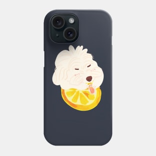 Maltipoo Drinking Orange Juice Phone Case