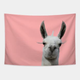 Grumpy Llama Tapestry