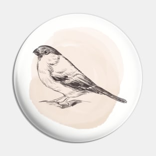 Hand drawn illustration of bullfinch Pin