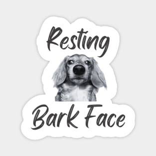 Resting Bark Face Dachshund Magnet