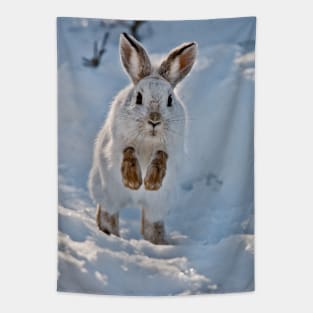 Snow Shoe Hare Tapestry