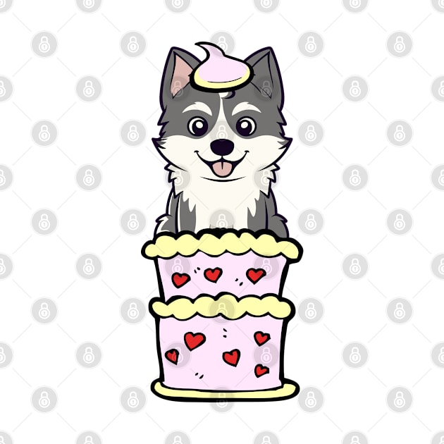 Husky dog Jumping out of a cake by Pet Station