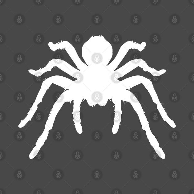 Spider Tarantula by Happy Art Designs