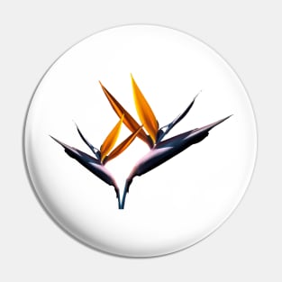 Strelitzia - the Bird of Paradise Flower Pin